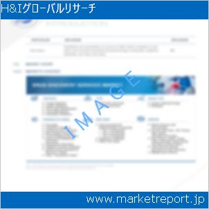 市場と産業調査レポートのイメージ